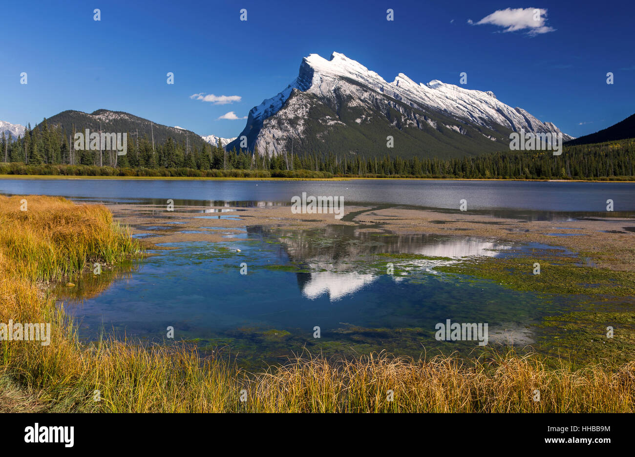 Scenic Summertime Landscape View Snowy Rundle Mountain Peak Reflected ...