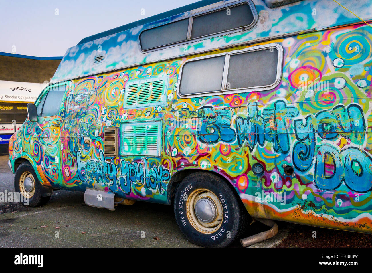 Best hippie vans online