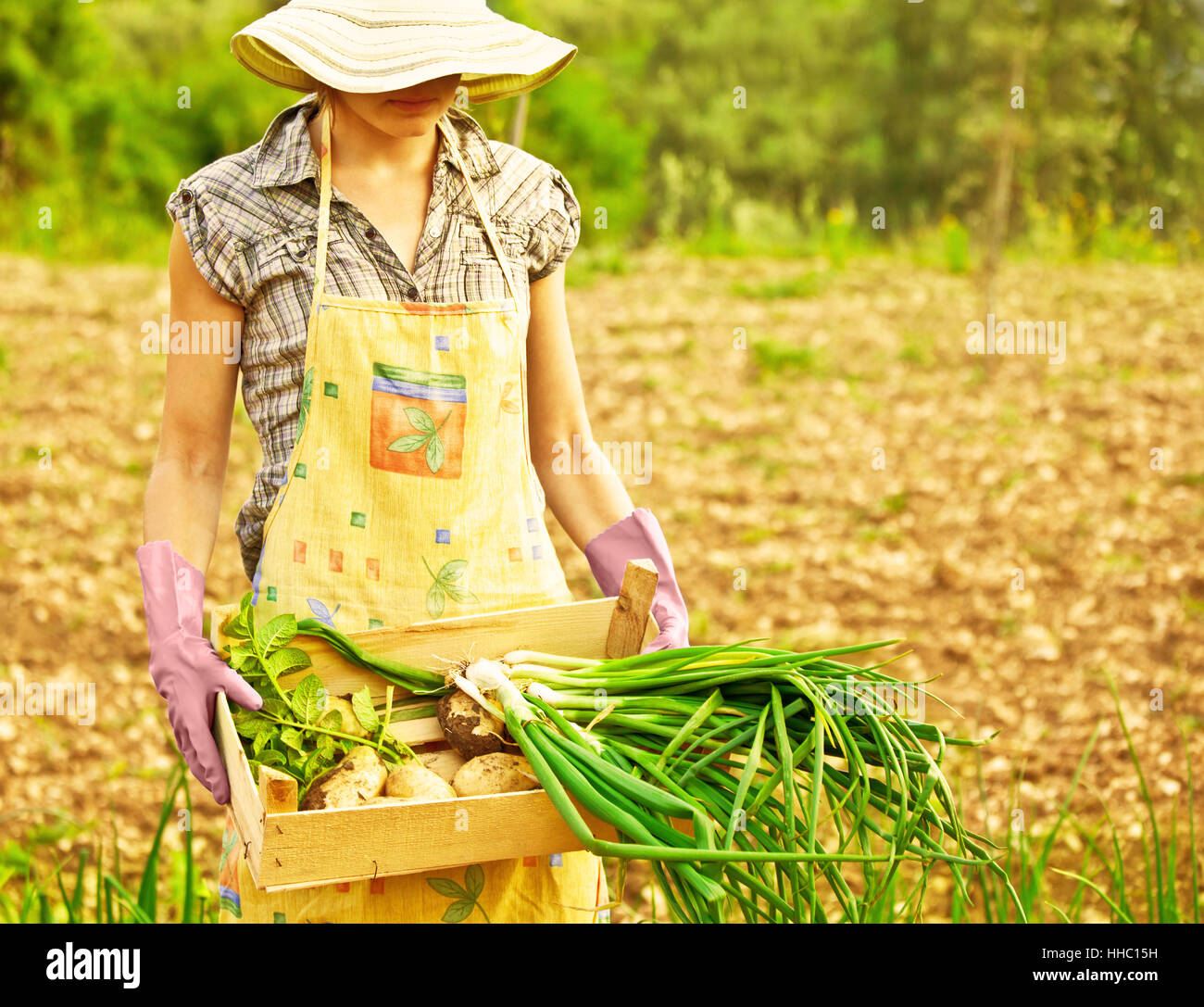 female, agriculture, farming, field, harvest, farmer, apron, vegetables