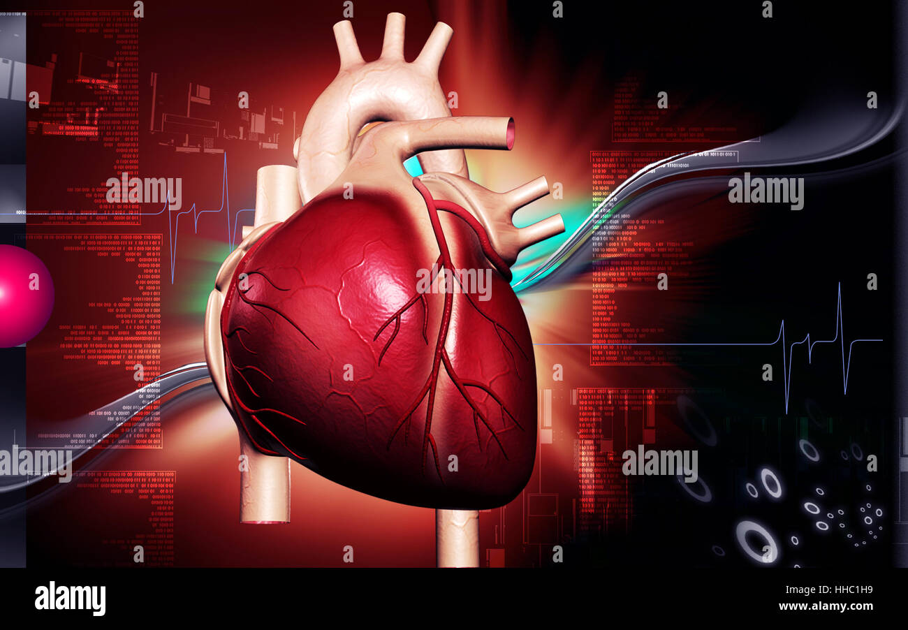 Circulation Graphics education, health, medicinally, medical, circulation, graphics, colour ...