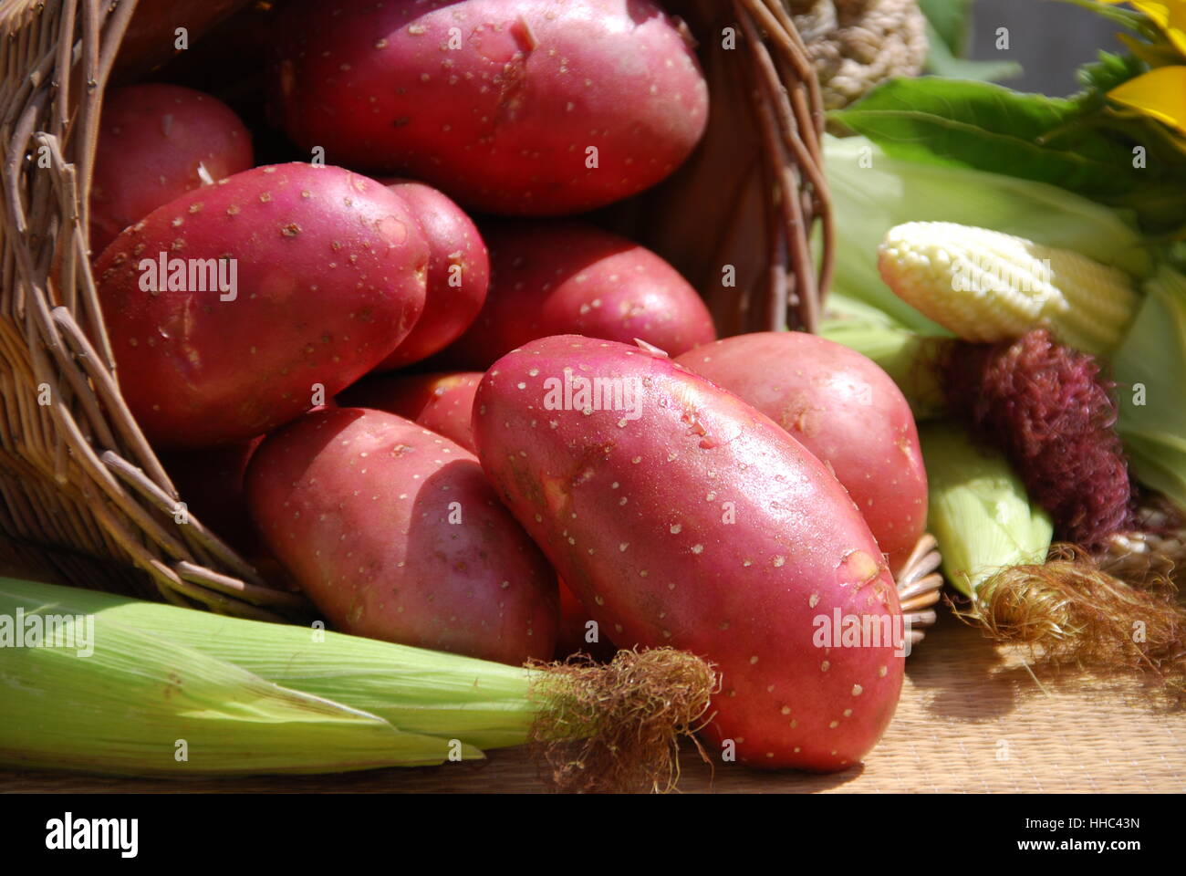 red, potato, potatoe, still life, food, aliment, eco, flower, plant, Stock Photo