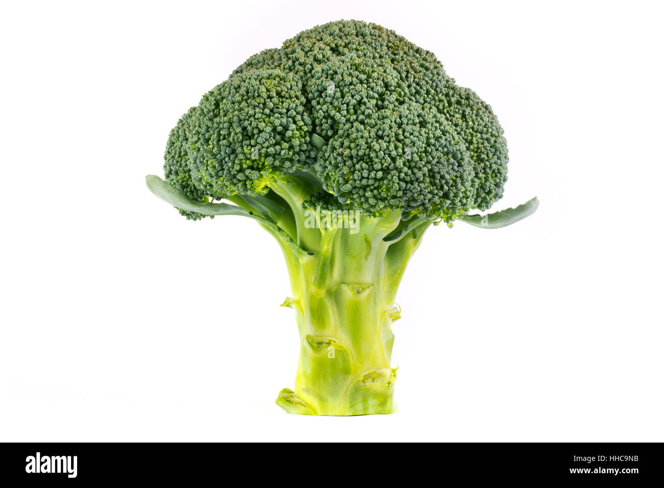 single-vegetables