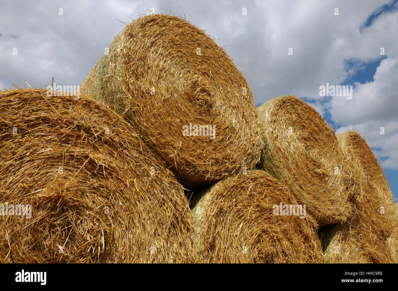 agriculture, farming, straw ball, straw, field work, agriculture, farming, Stock Photo