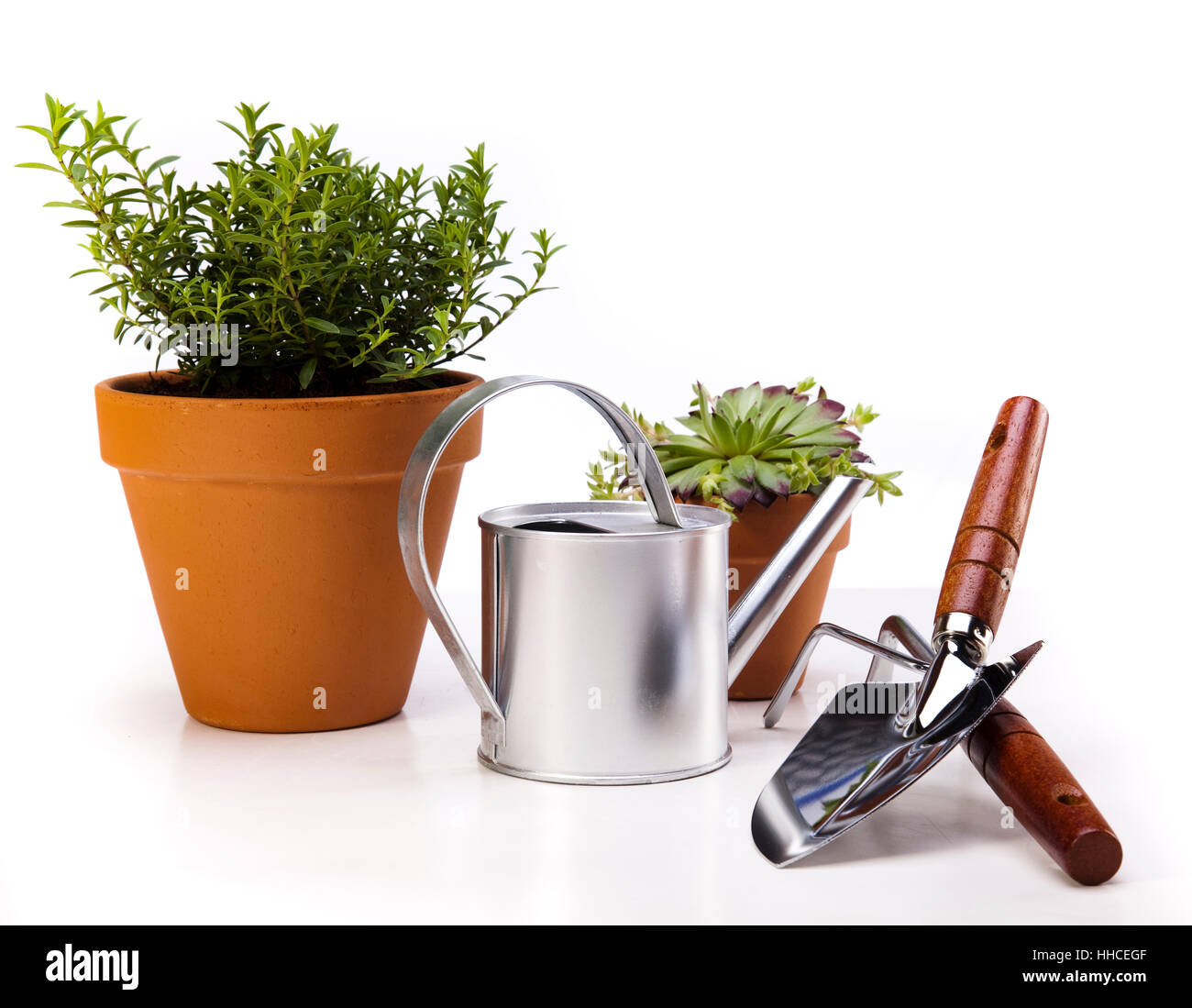 tool, garden, flower, plant, spring, gardening, lawn, green, leaf, tool, Stock Photo