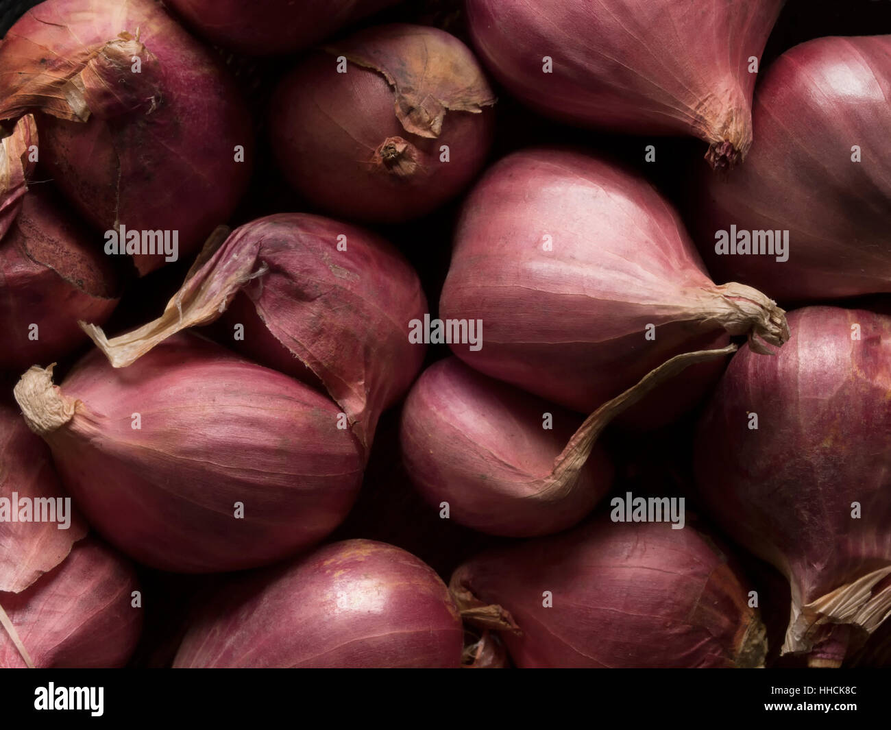 vegetable, raw, onion, uncooked, shallot, backdrop, background, red