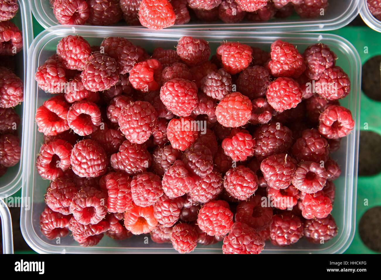 Punnet of freshly picked Raspberries. Stock Photo
