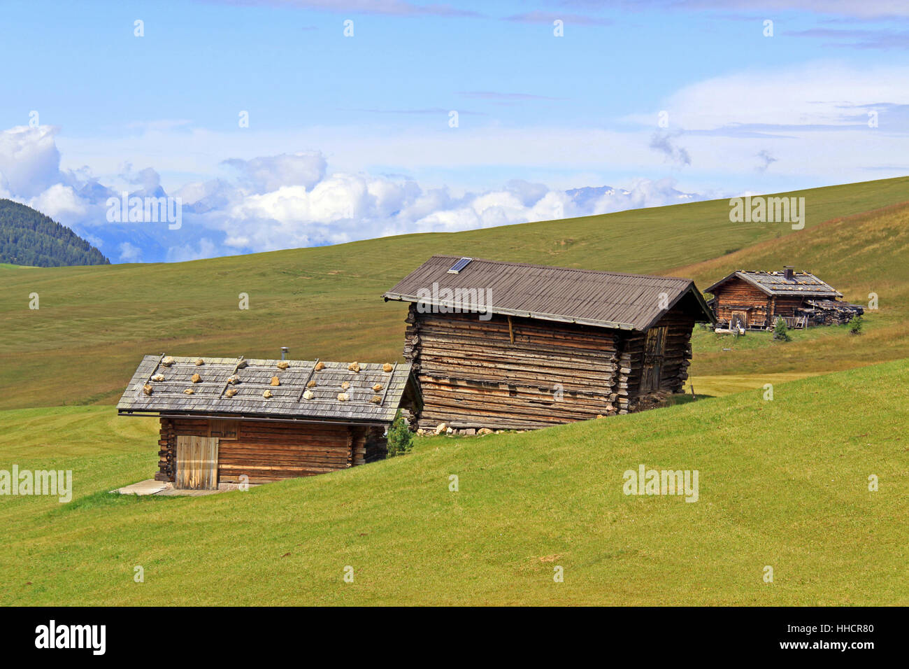 dolomites, alp, south tyrol, mountain meadow, dolomites, alps, alp, south Stock Photo