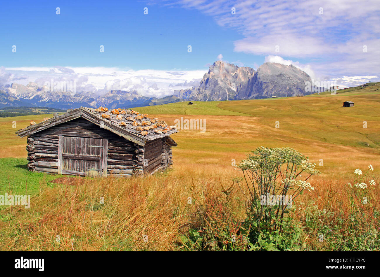 on the seiser alm in south tyrol Stock Photo