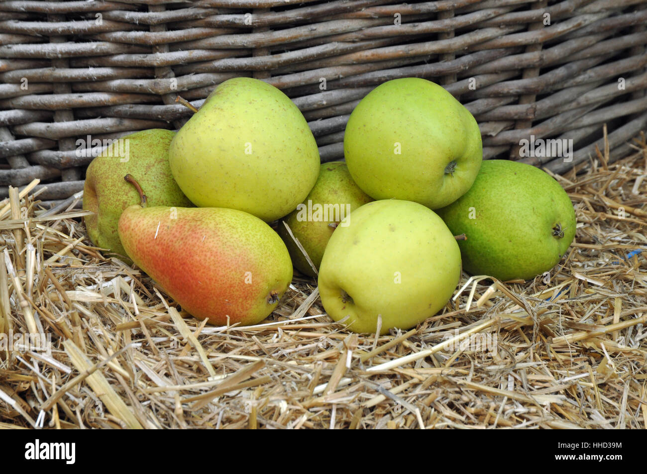 apples and pears Stock Photo Alamy