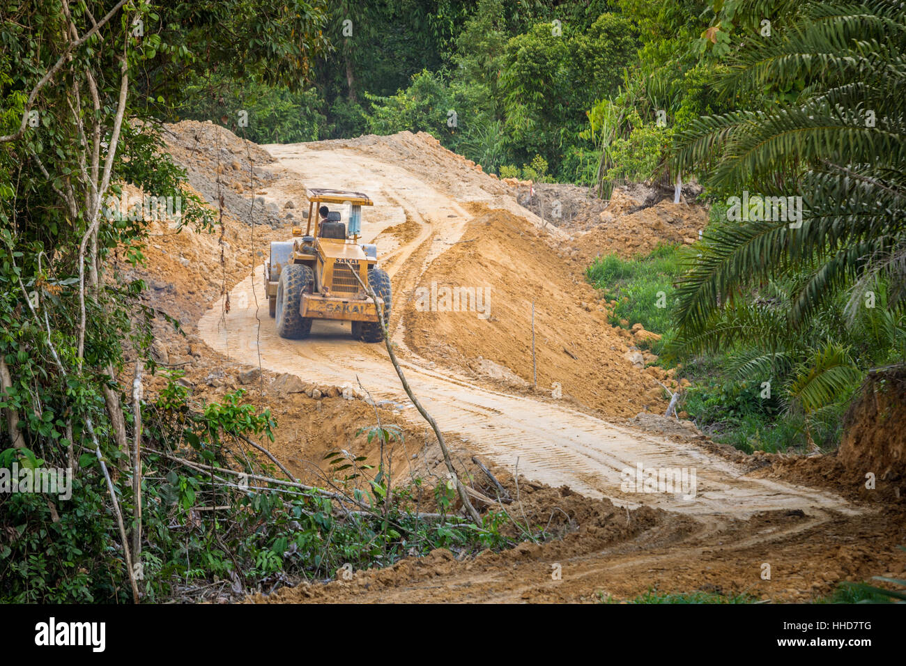 JCB digger on a road being constructed through rainforest in remote northern Sabah, Malaysian Borneo Stock Photo