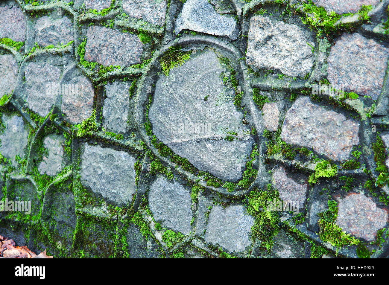 green moss covered the old stone wall Stock Photo - Alamy