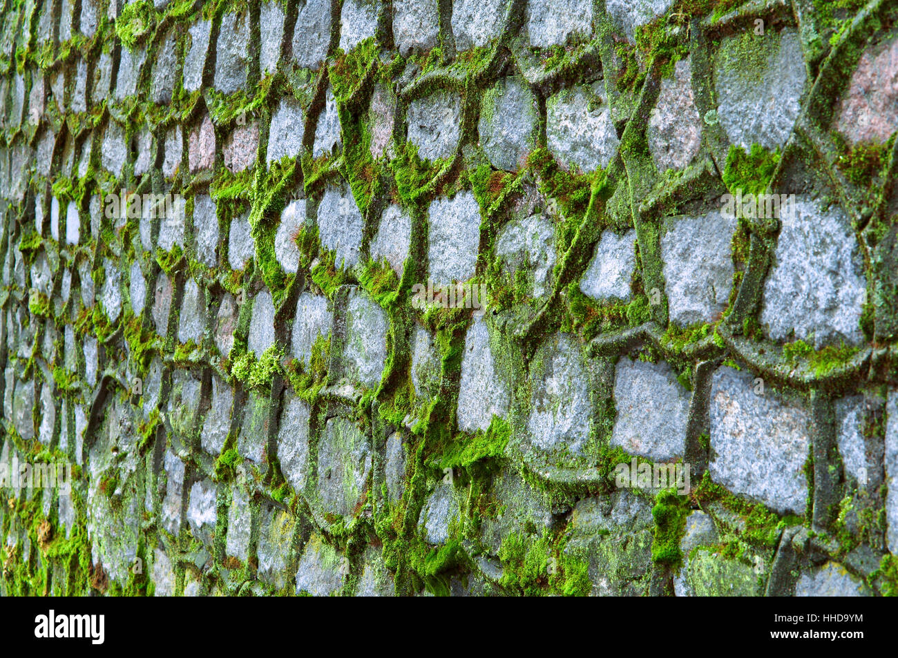green moss covered the old stone wall Stock Photo - Alamy