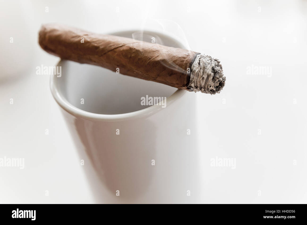 Handmade cigar lays on white coffee cup, close-up photo with selective focus over white background Stock Photo