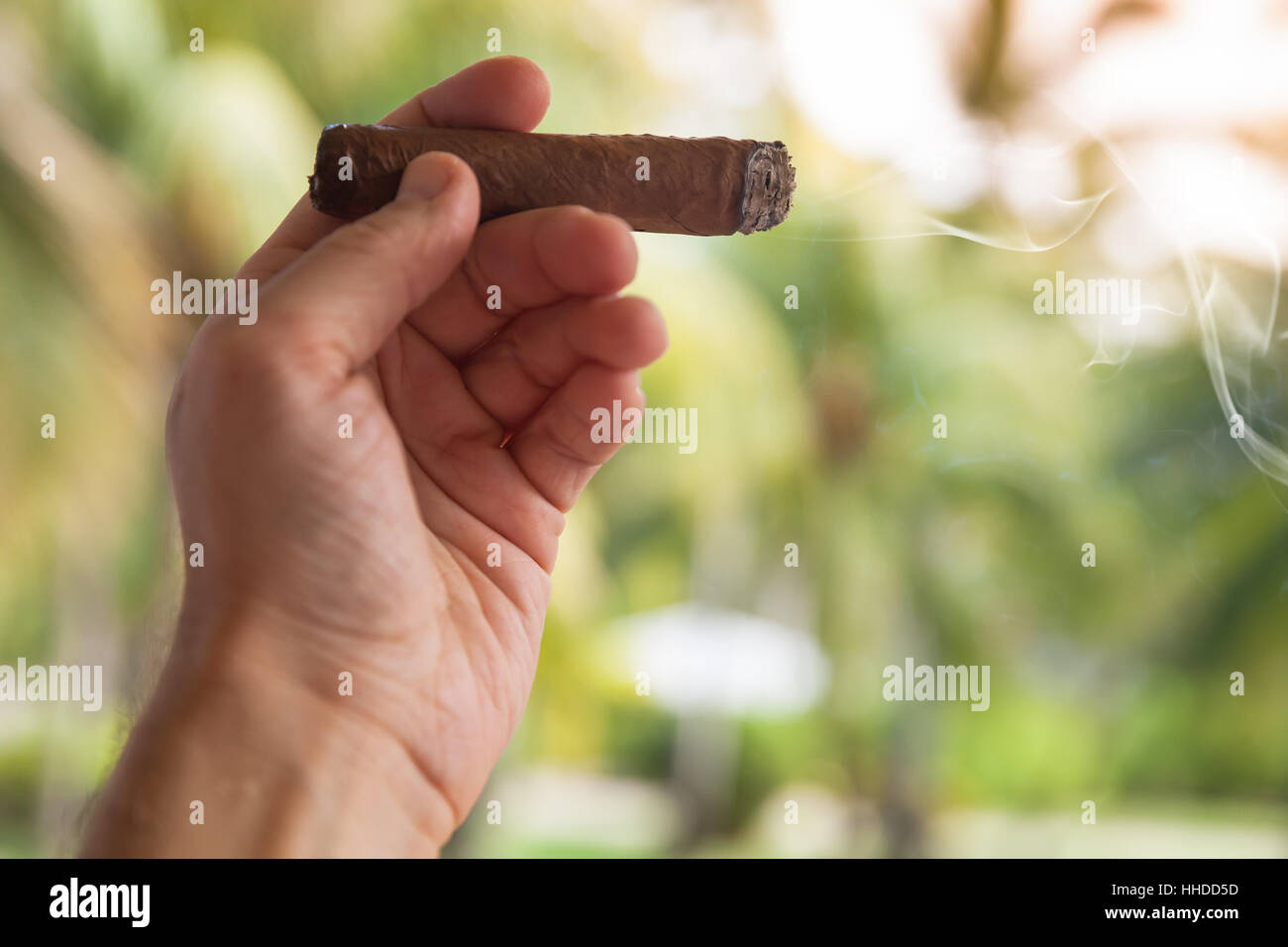 Handmade cigar in male hand, closeup photo with selective focus Stock Photo