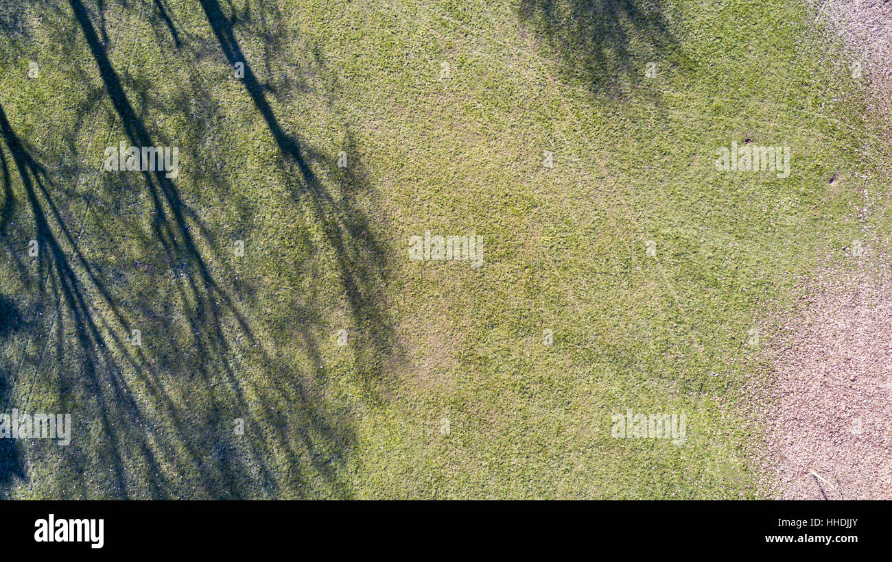 Aerial view of a park with trees and grass, leaves, green area, ecology Stock Photo