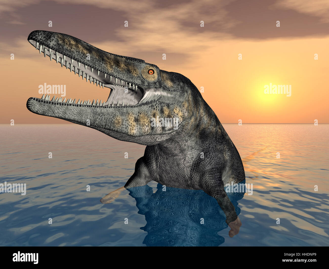 Tylosaurus hi-res stock photography and images - Alamy
