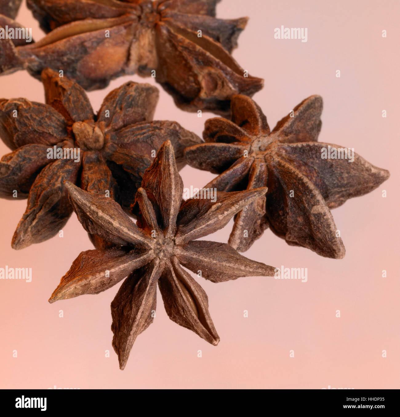 studio shot of some star-anise in light reddish back Stock Photo