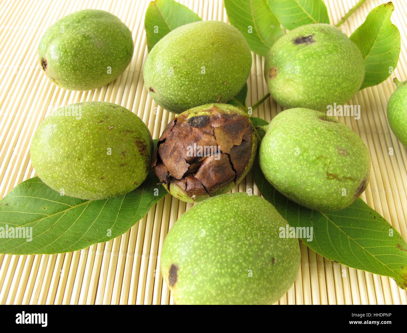 green walnuts Stock Photo