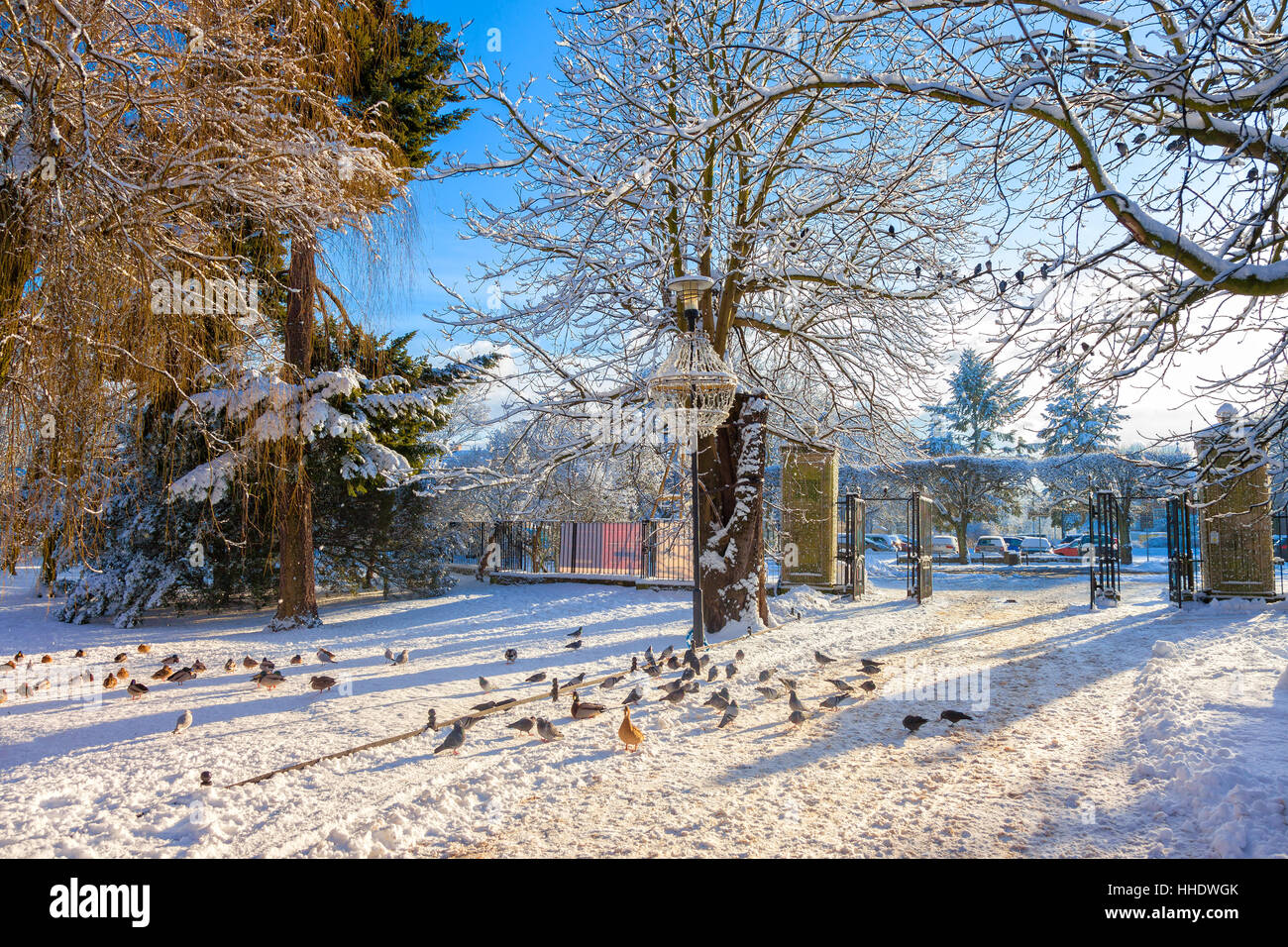 Entrance gates in winter to the city park in Oliwa, Poland. Stock Photo