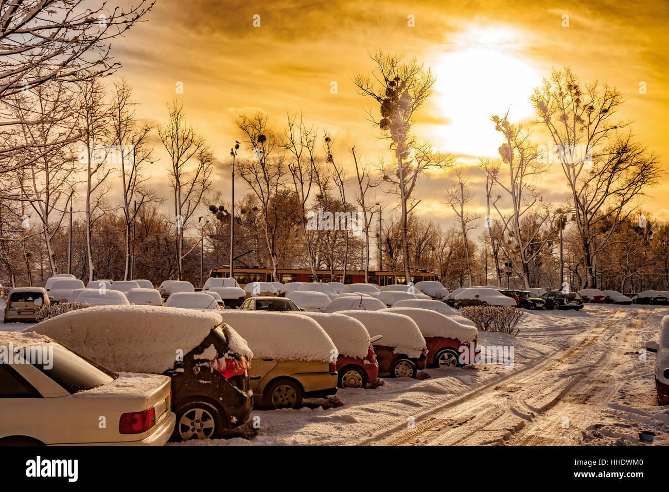 Cars covered by snow on the urban street. Stock Photo