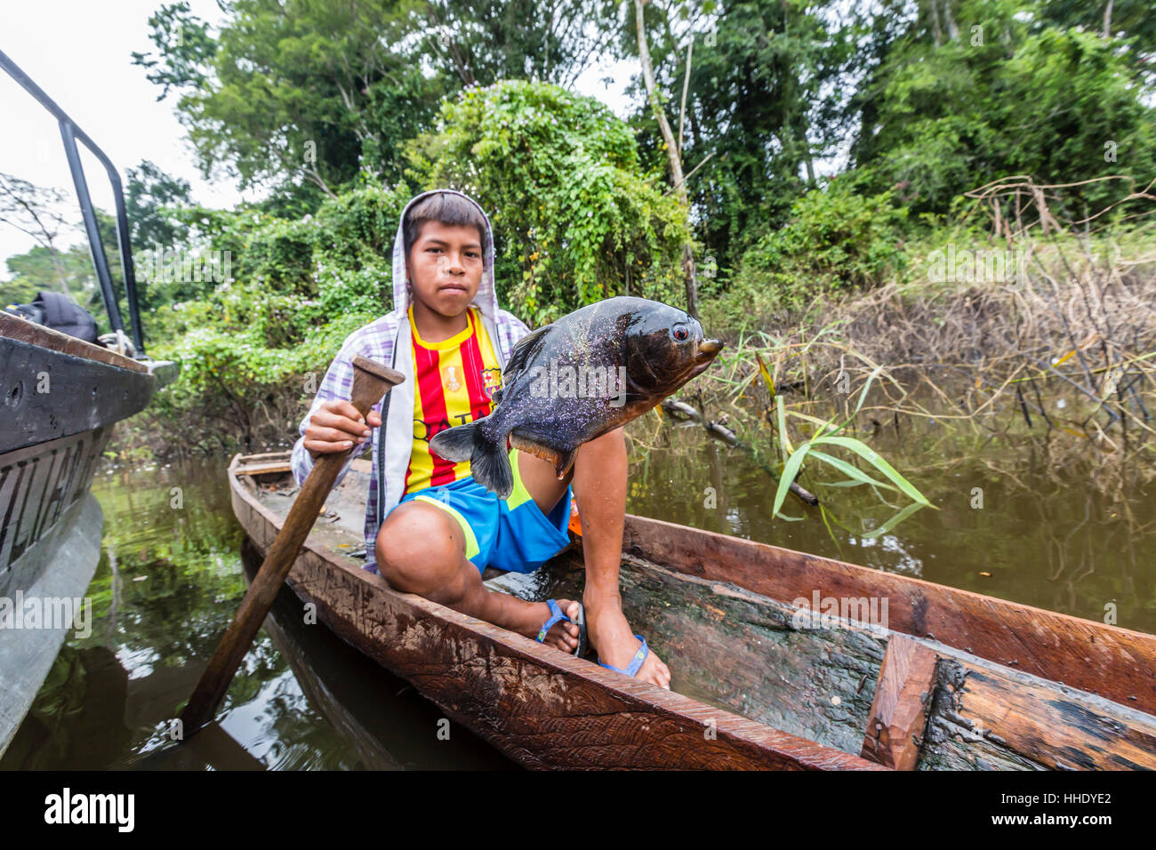 Young boy in dugout canoe with speared piranha on the San Miguel Caño, Loreto, Peru Stock Photo