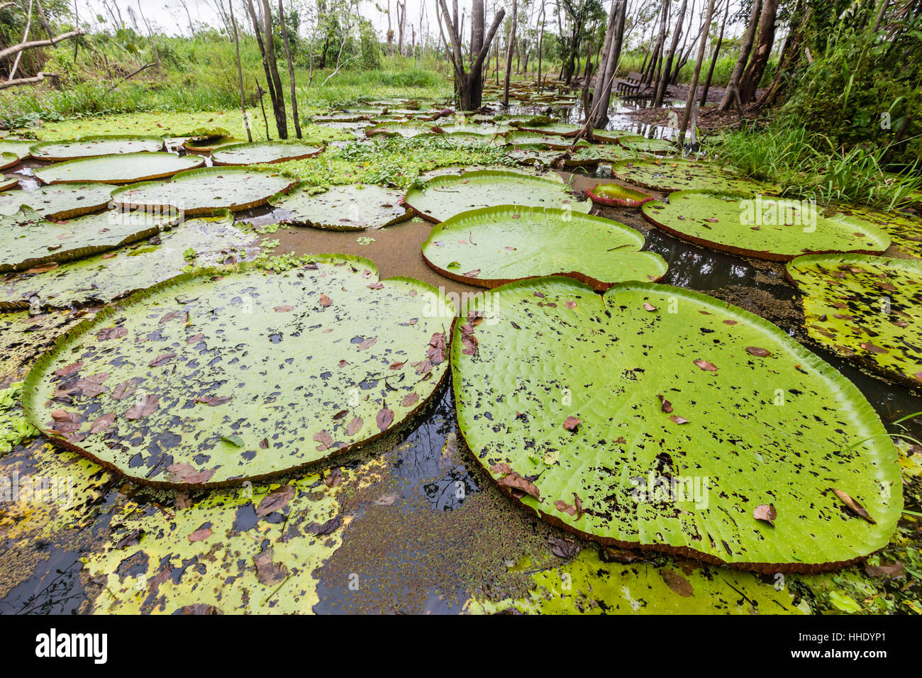 Puerto miguel hi-res stock photography and images - Alamy