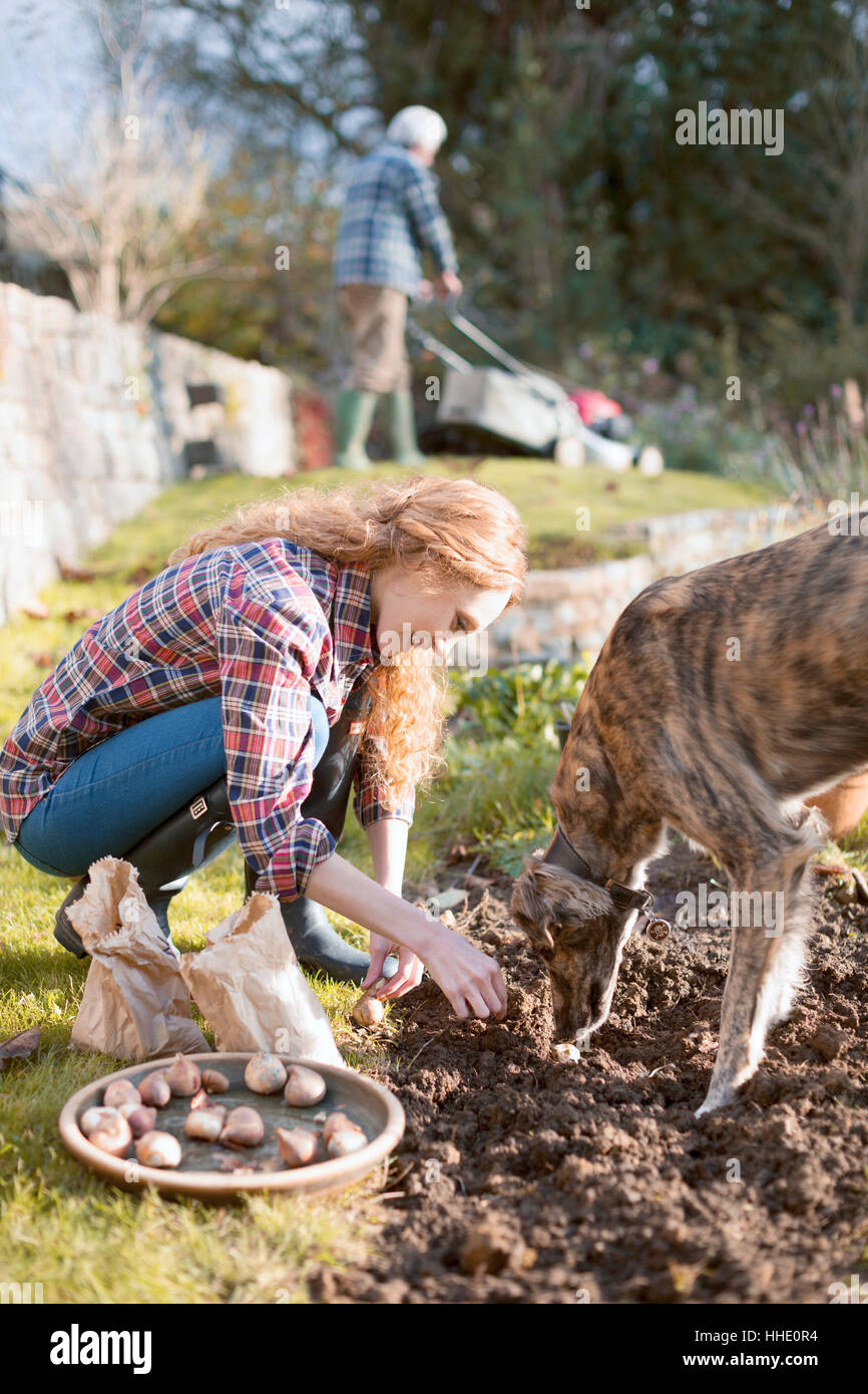 Woman with dog gardening planting bulbs in dirt in autumn garden Stock Photo