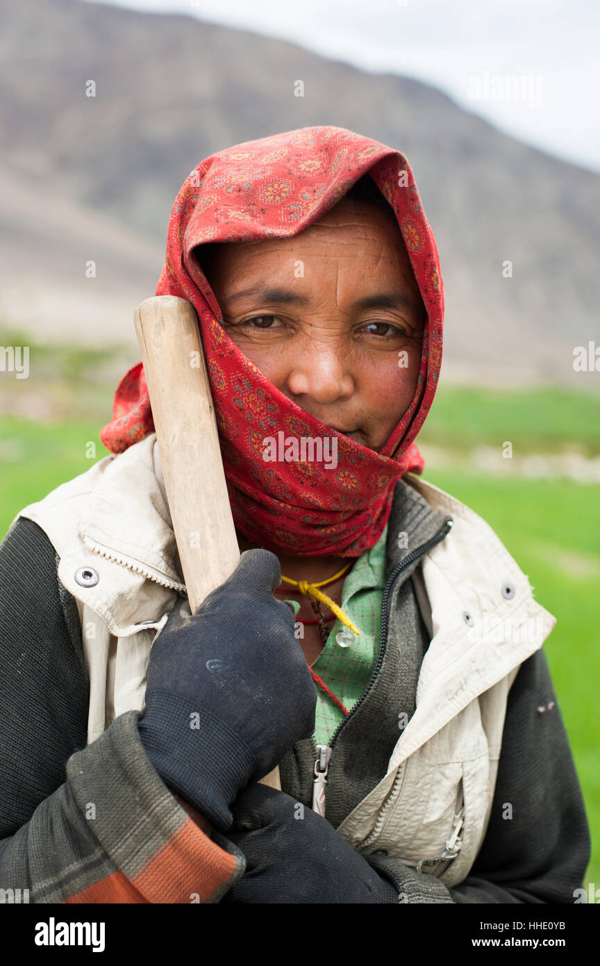 A Ladakhi farmer from the Nubra Valley, Ladakh, India Stock Photo