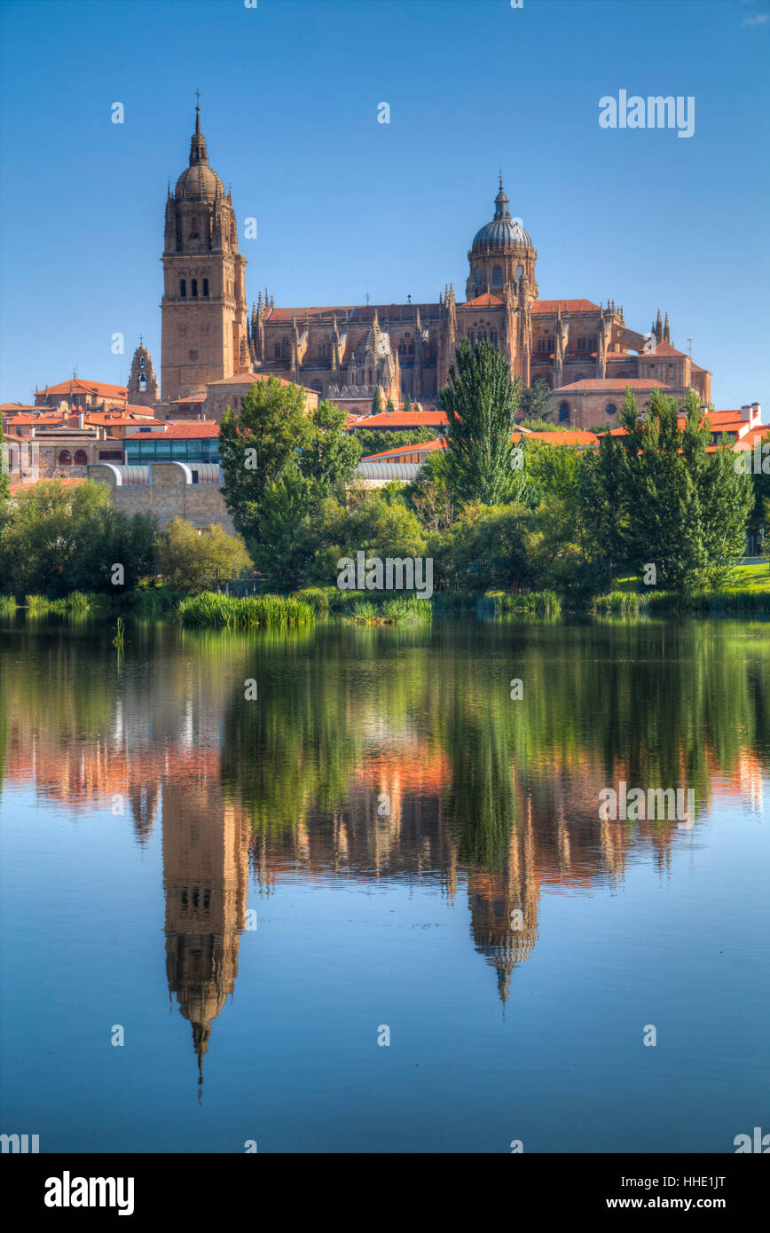 Water reflection, Cathedral Of Salamanca, Salamanca, UNESCO, Castile y Leon, Spain Stock Photo