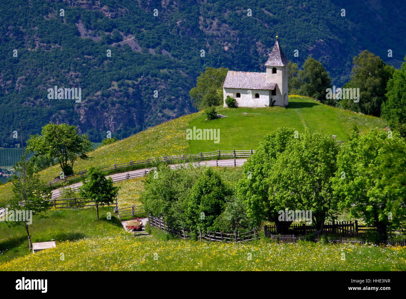 church st. mary of the snows,aschbach,tyrol Stock Photo