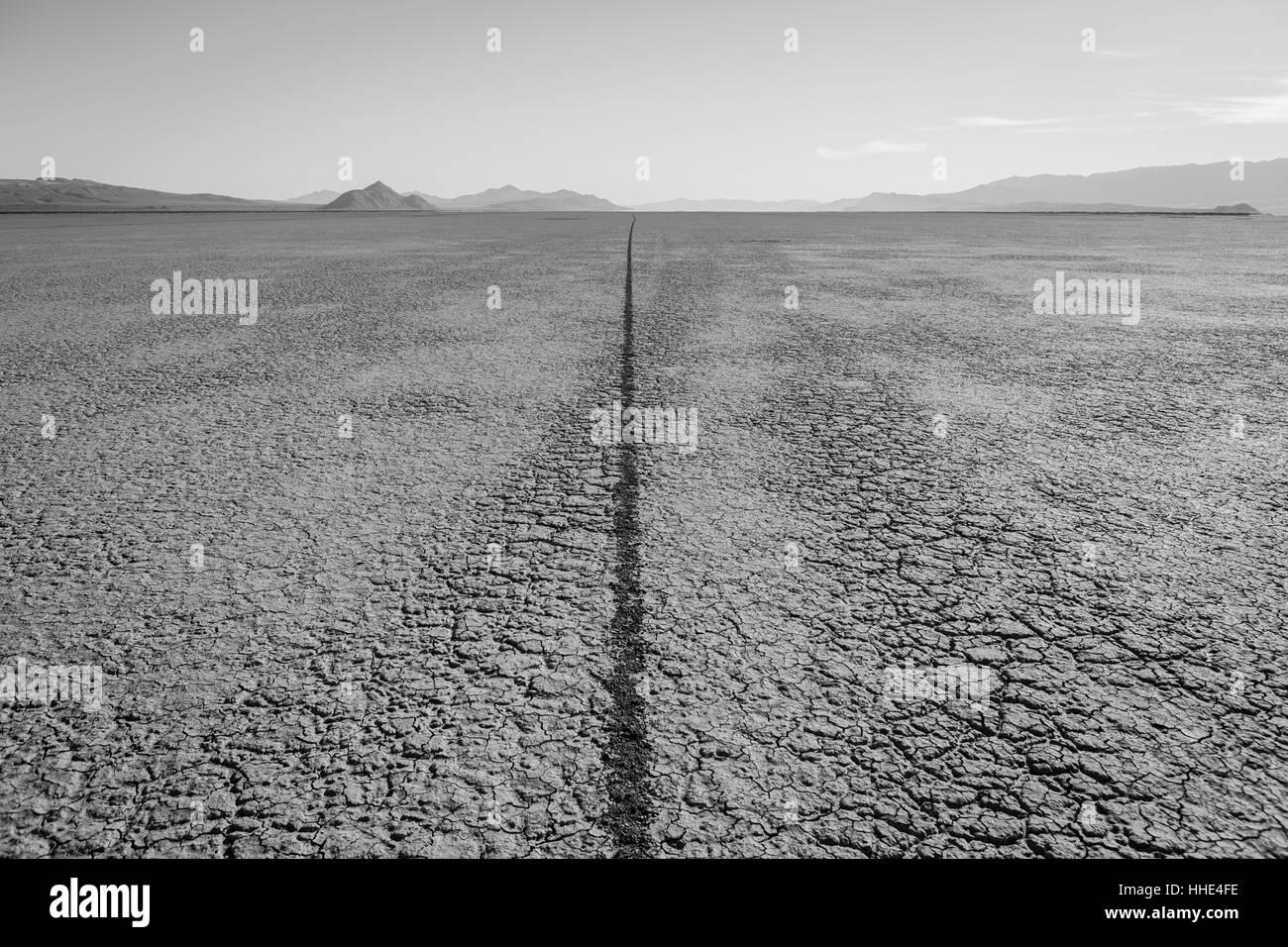 Single tire track on playa, Black Rock Desert, Nevada Stock Photo