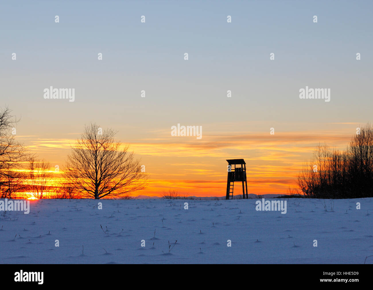 Tree stands - deer stands in winter at sunset Stock Photo