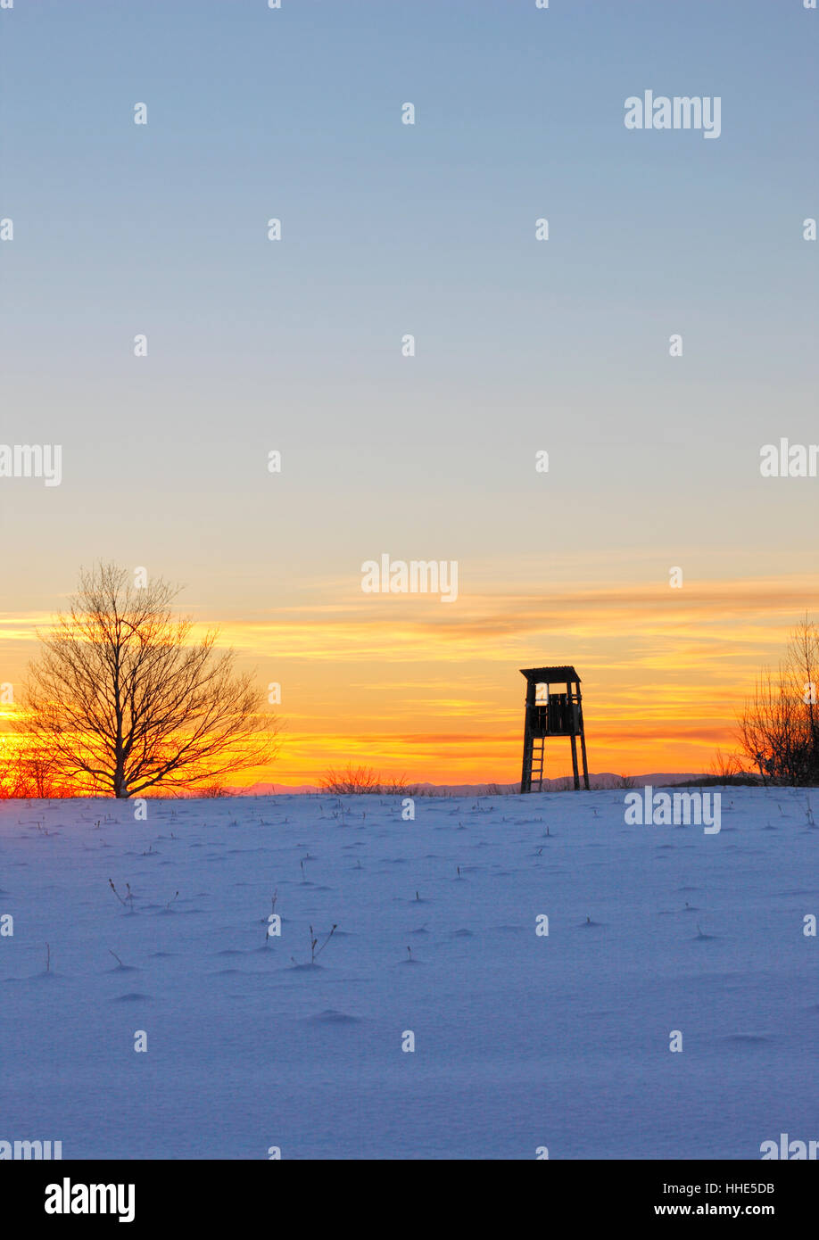 Tree stands - deer stands at sunset Stock Photo