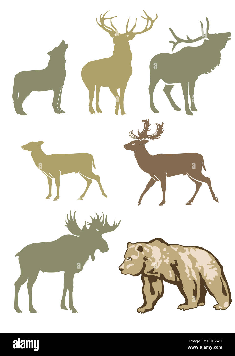 forest animals Stock Photo
