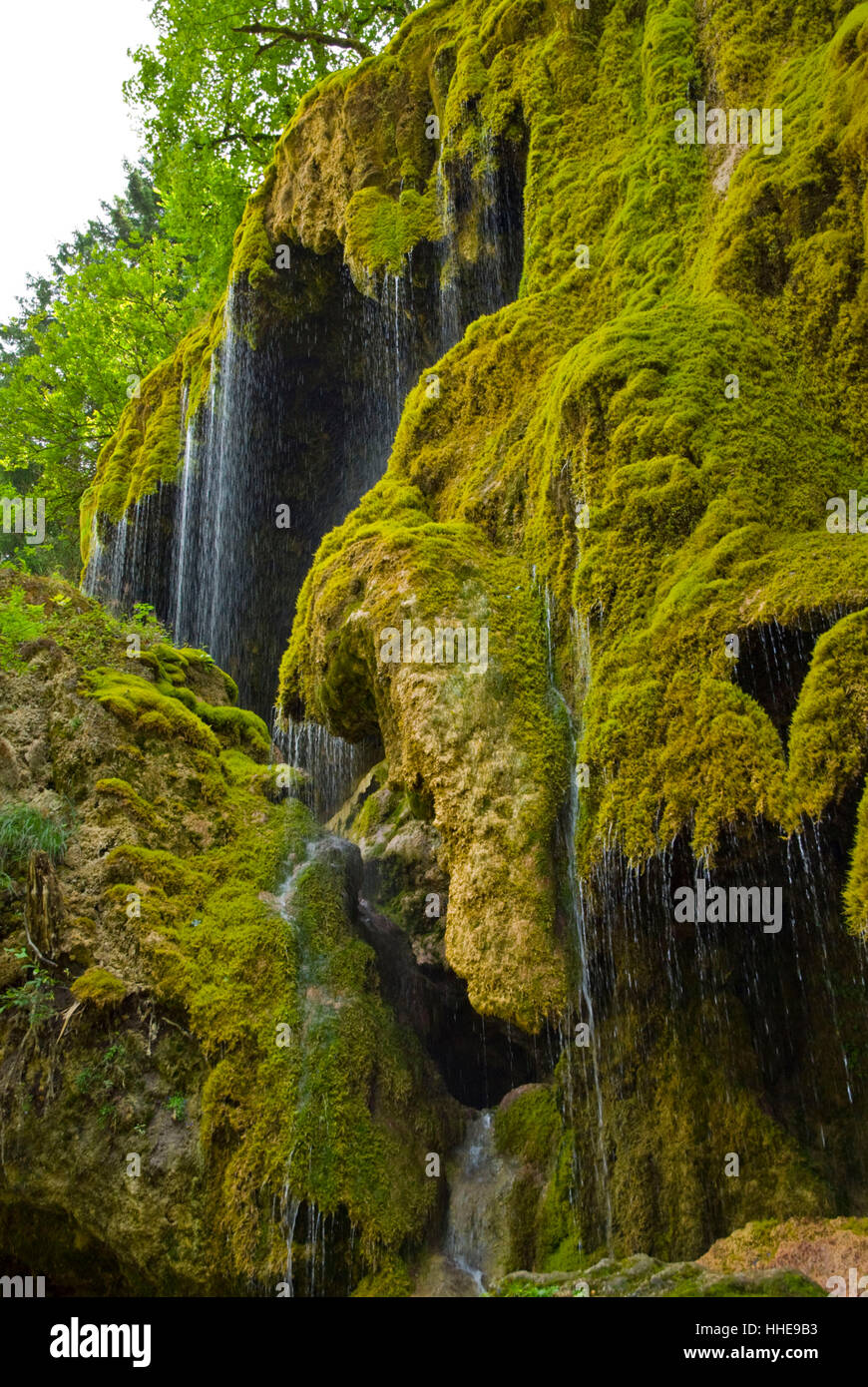 alps, waterfall, moss, water, alps, conservation of nature, rock, waterfall, Stock Photo