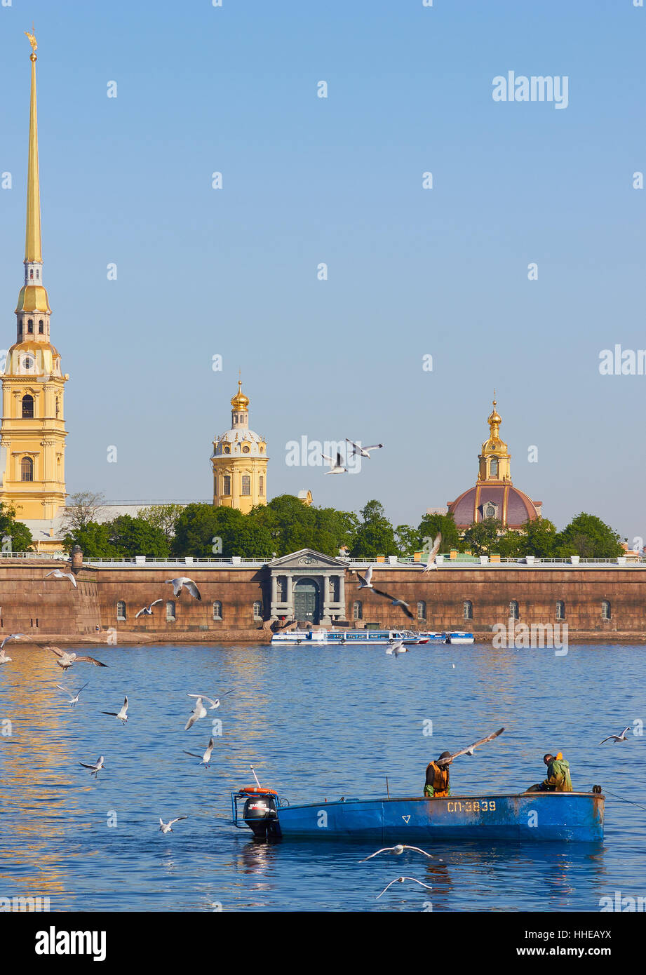 Birds flying around a fishing boat on the river Neva with Peter and Paul Fortress in the background St Petersburg Russia Stock Photo