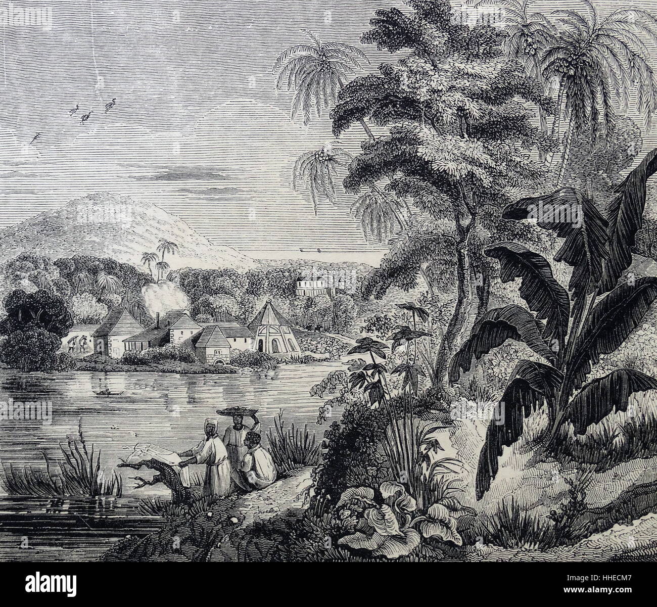 Jamaican plantation sugar hires stock photography and images Alamy