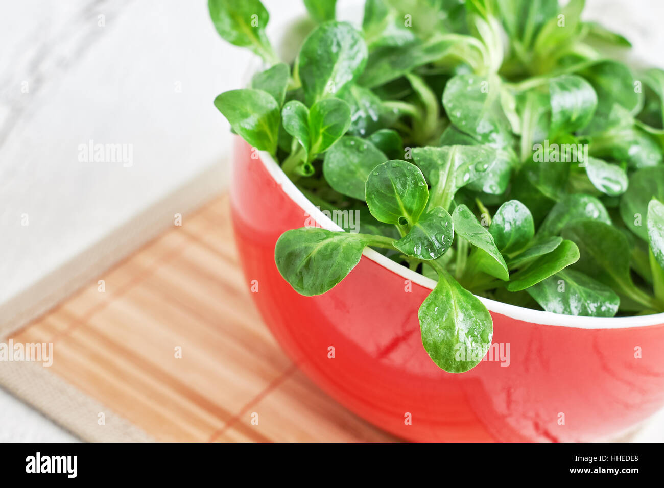 Corn salad plant, lamb's lettuce (Valerianella locusta), in red bowl. Copy space Stock Photo