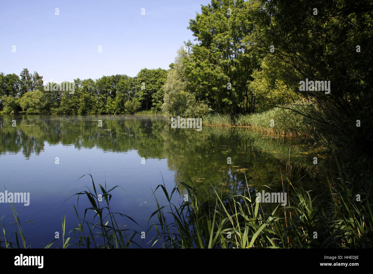 Lippischer teich hires stock photography and images Alamy