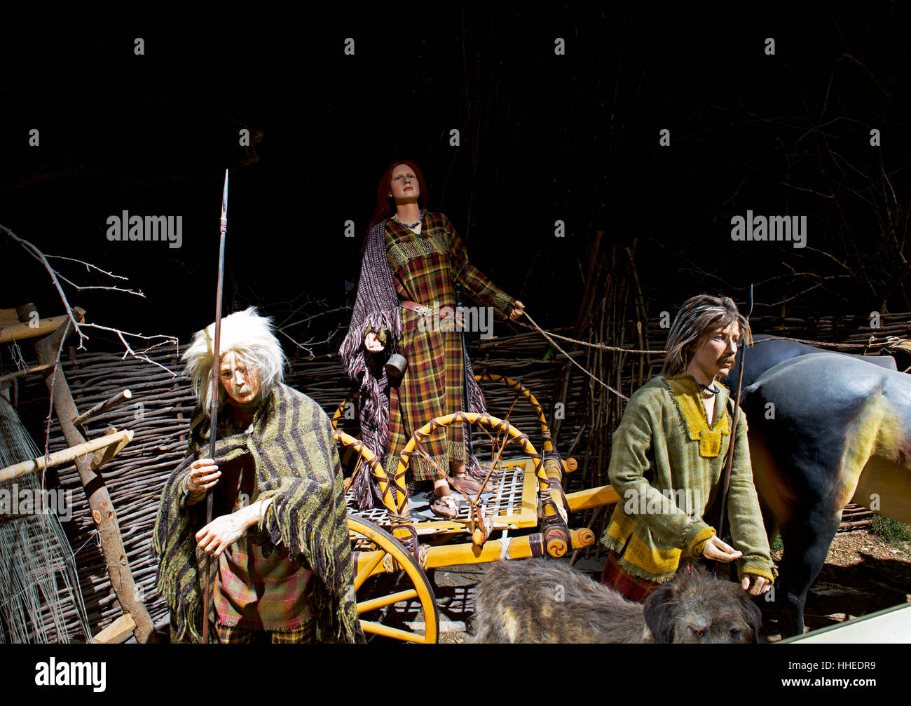 Hull and east riding museum hires stock photography and images Alamy