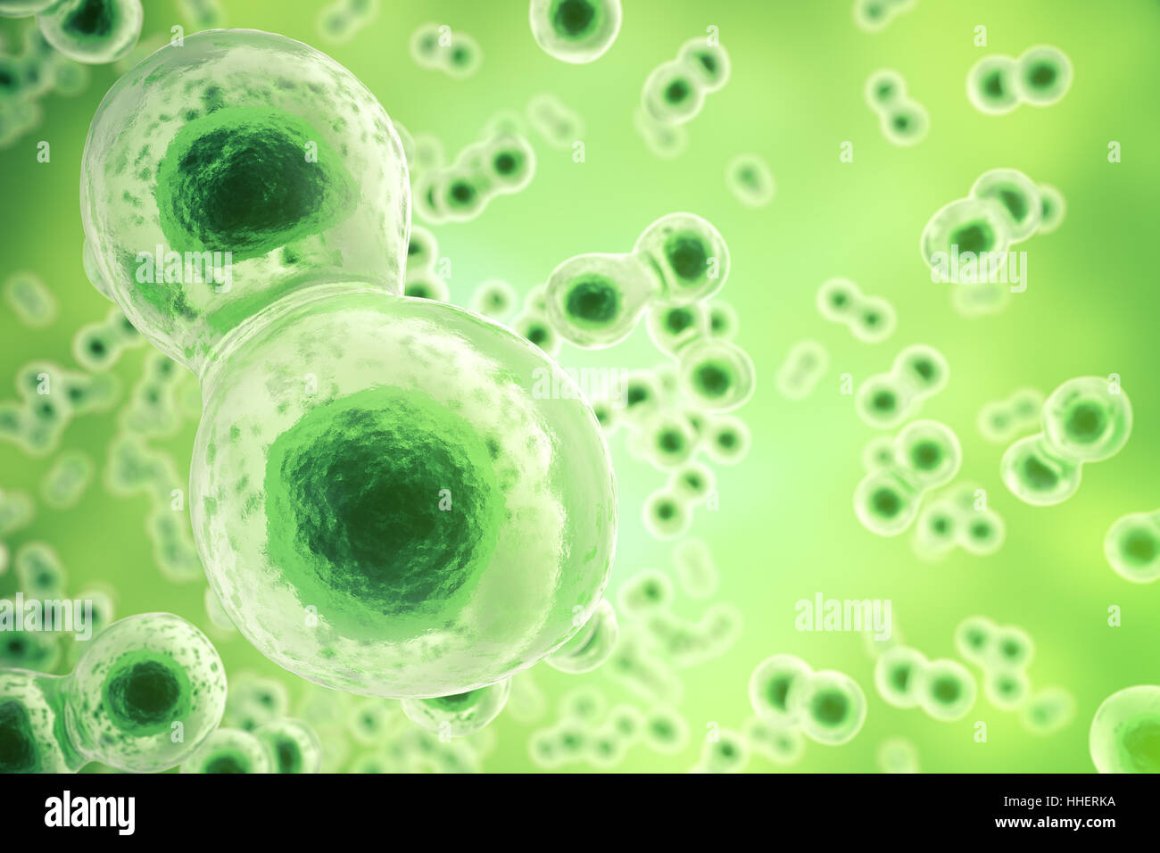Green cell background. Life and biology, medicine scientific, molecular  research dna. 3d rendering Stock Photo - Alamy