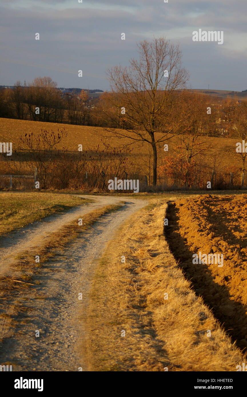horizon-winter-cold-aim-goal-follow-path-way-fall-autumn-leaf