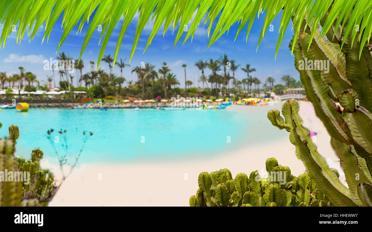 blue, travel, tree, holiday, vacation, holidays, vacations, sights ...