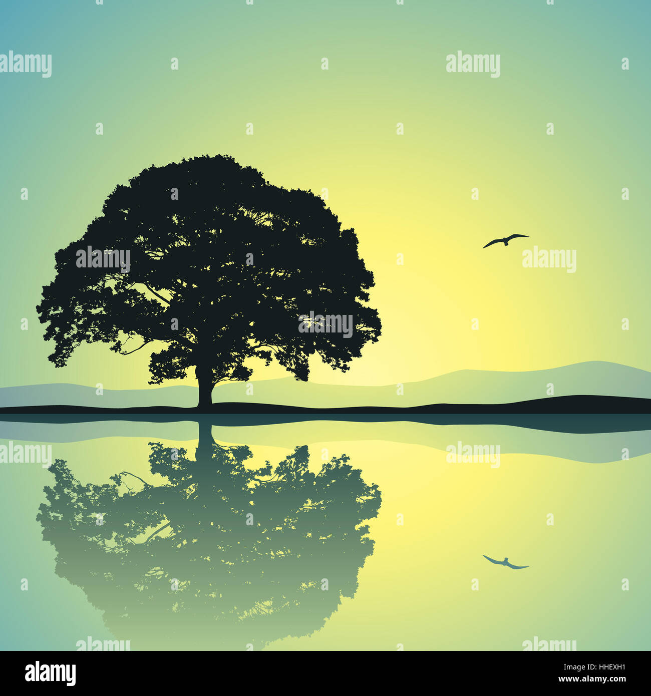 A Single Tree Standing Alone with Reflection in Water Stock Photo - Alamy