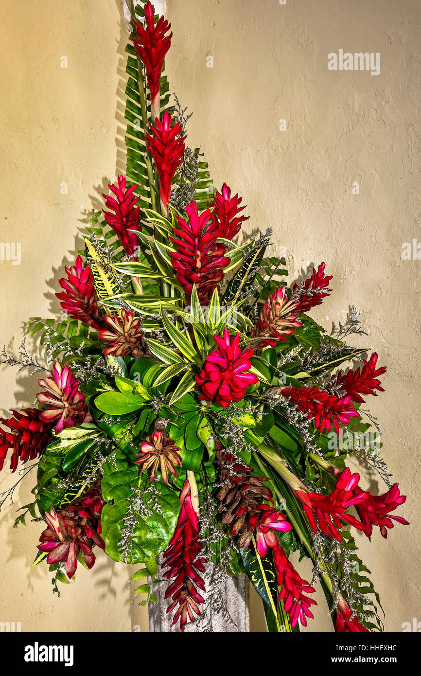 Display Of Ginger Lilies (heliconias) Barbados West Indies Stock Photo