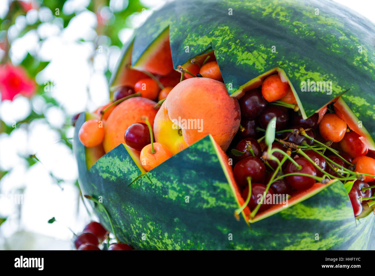 Arrangement with melon fruit in him on the table in natural light Stock Photo