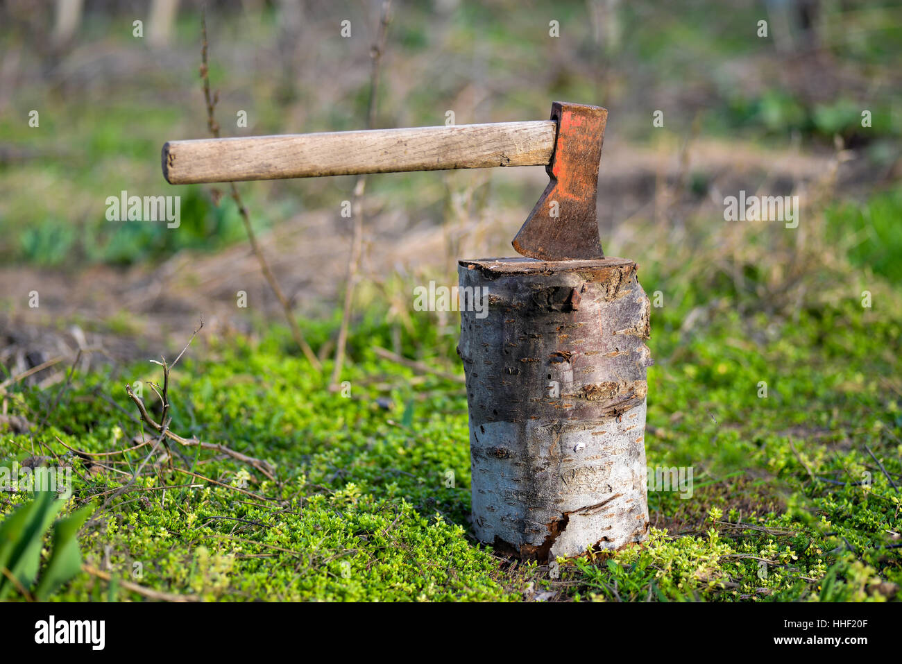 Ax on the stump in natural light Stock Photo