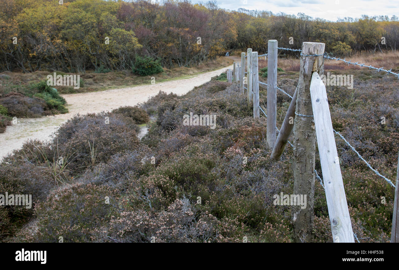 Fence posts hi-res stock photography and images - Alamy