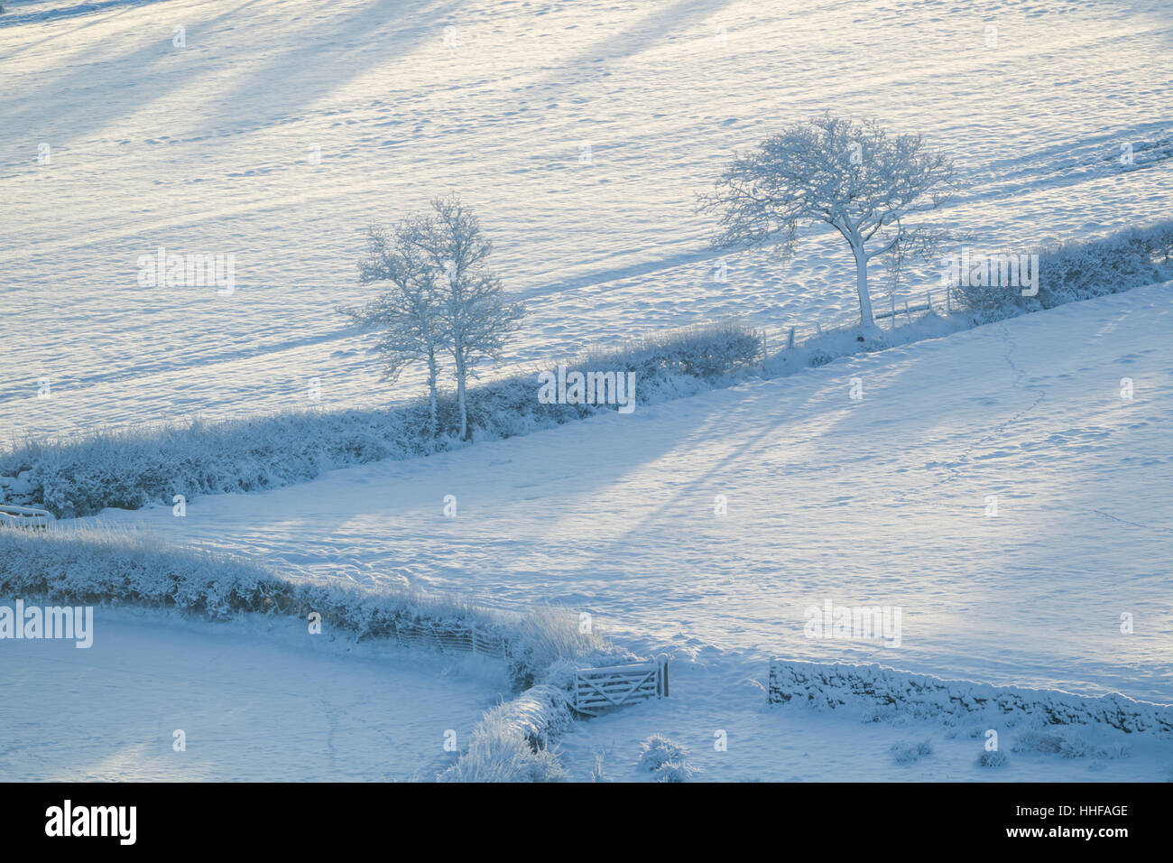 Snow covered farmland showing fields, hedges trees and a gate in Danby Dale in North York Moors National Park Stock Photo