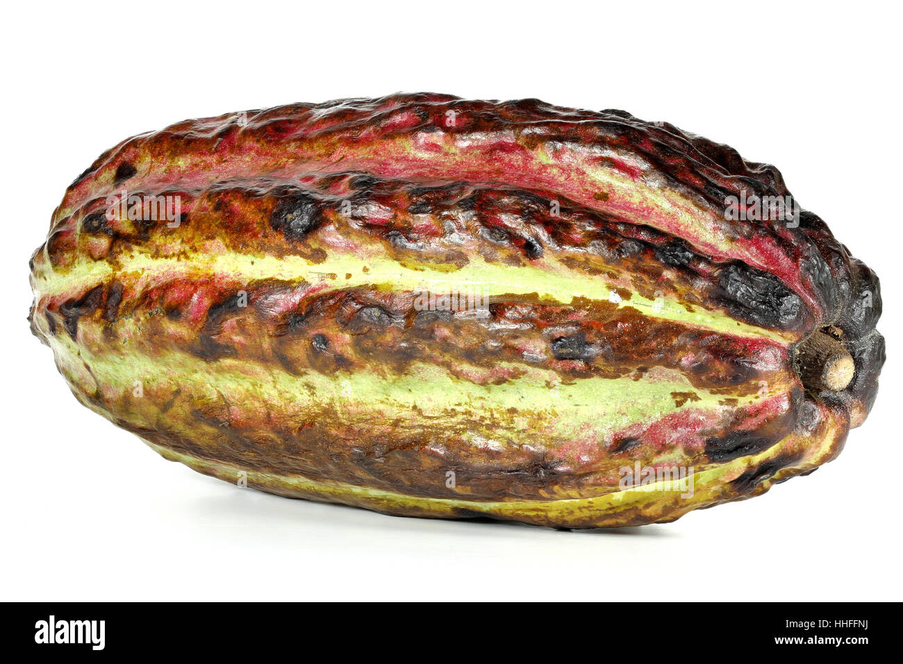 cacao fruit isolated on white background Stock Photo Alamy